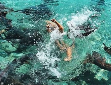 Φωτογραφίες σοκ: Καρχαρίες αρπάζουν 19χρονο μοντέλο που ήθελε να κολυμπήσει μαζί τους!